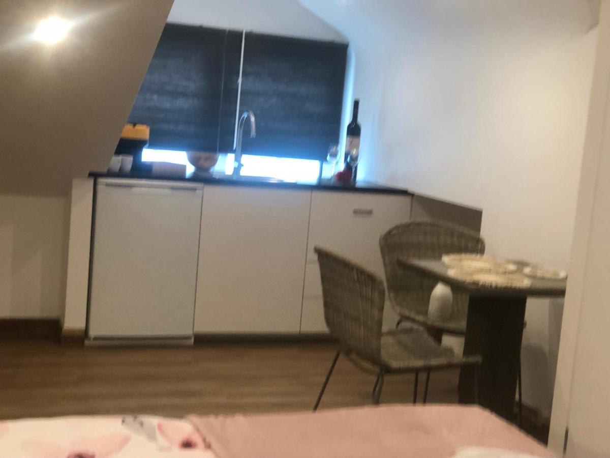 Hallo Maastricht B&B Fientje Dış mekan fotoğraf